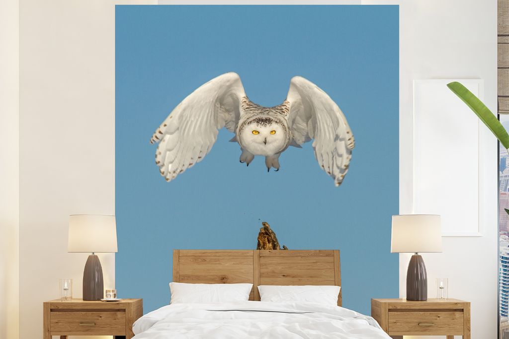 MuchoWow Fototapete für Wohnzimmer oder Schlafzimmer Wandtapete Vinyl Motivtapete Schneeeule fliegt von einem Baumstamm weg - 210x260 cm - Wand ...