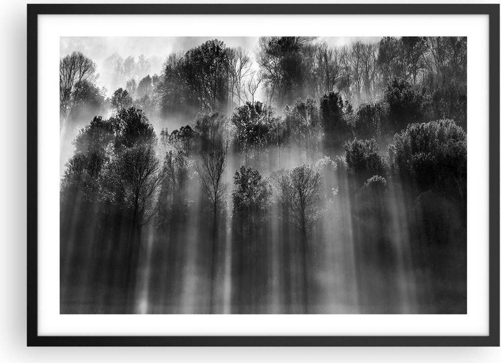 Gerahmtes Poster - Schwarzer Rahmen - Bäume drinnen Nebel - 70x50 cm - Wand Bild - Wanddeko - Wandbilder - Kunstposter - Wandposter - Bilderrahmen...