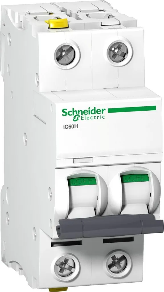 Disjoncteur Magnétothermique iC60N Schneider A9F07206 Acti9 2 Pôles