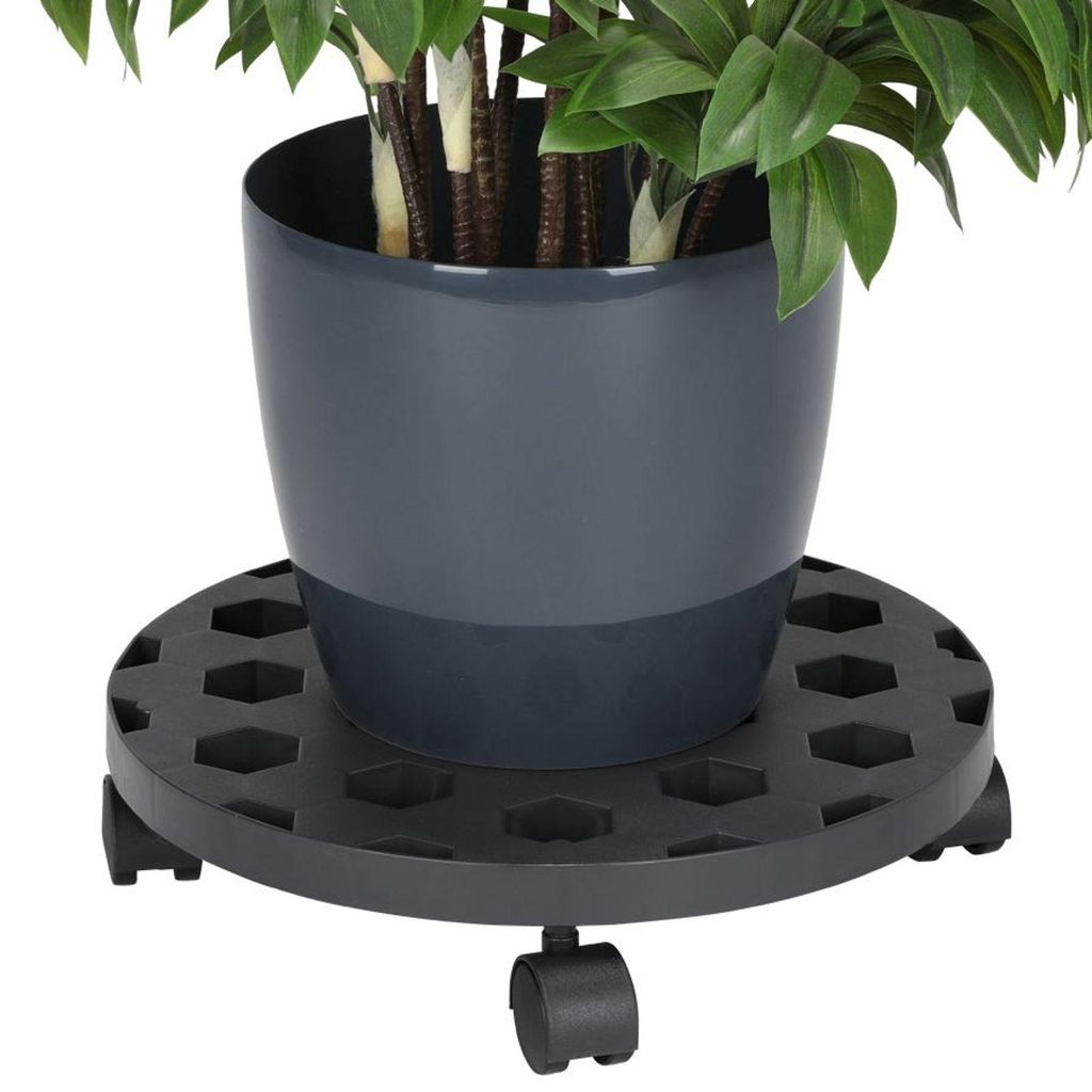 Rouleau pour plantes 35cm Rouleau pour fleurs Image du produit 