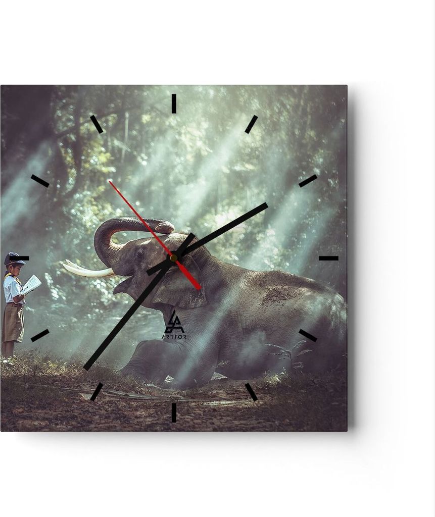 Wanduhr - Quadrat - Glasuhr - Elefant Dschungel Stoßzahn - 40x40cm - Schleichendes Uhrwerk - Lautlos - zum Aufhängen bereit - Dekoration Modern -...