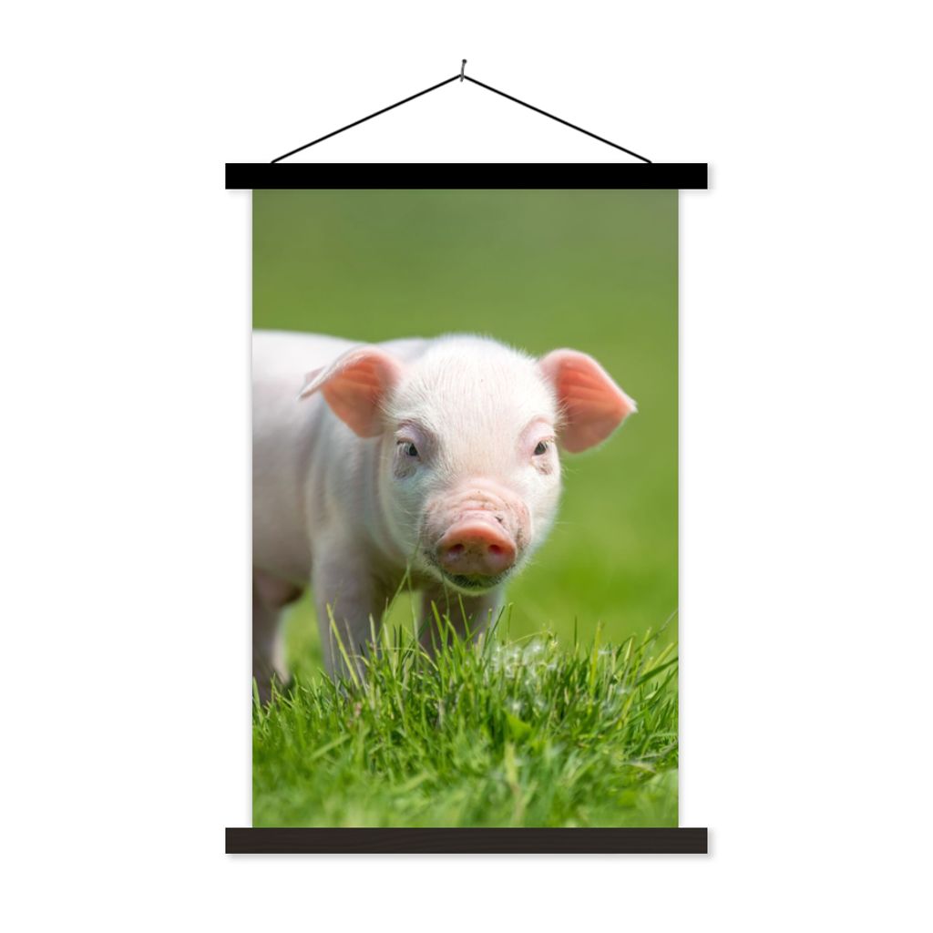 MuchoWow Textilposter Ferkel - Kaninchen - Tiere 40x60 cm mit schwarzem Rahmen - Wanddekorationen