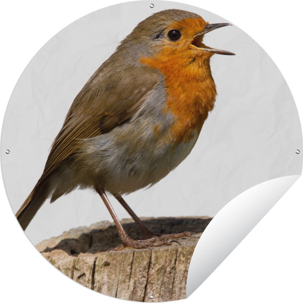 MuchoWow Gartenposter Outdoor-Poster Rund Rotkehlchen - Vogel - Holz Ø 120 cm Gartendeko Rundes Poster draußen