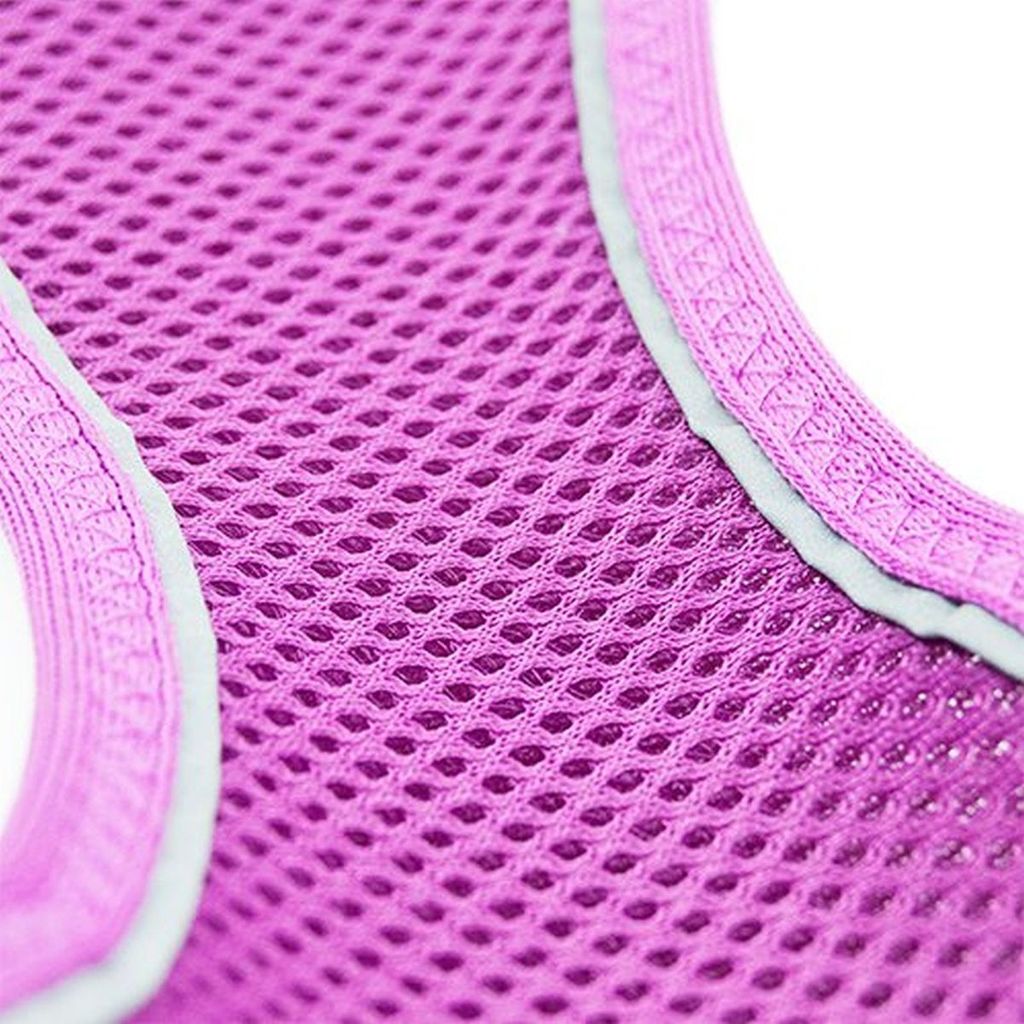 tailpetz hundegeschirr