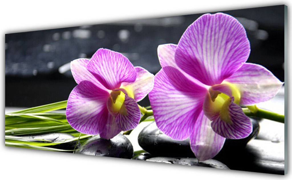 Glasbilder 125x50 Wandbild Druck auf Glas Blumen Pflanzen