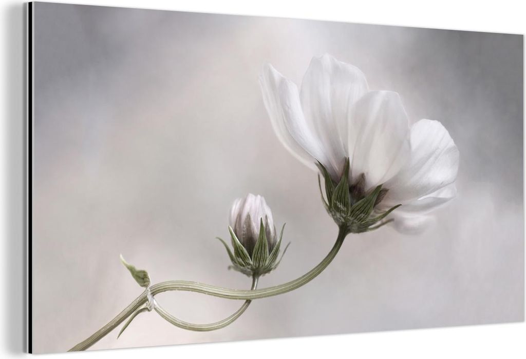 MuchoWow Wanddekoration Metall Metallbild Wandkunst 120x60 cm Blumen - Stillleben - Natur - Grau MuchoWow Aluminium Gemälde - Metalbilder