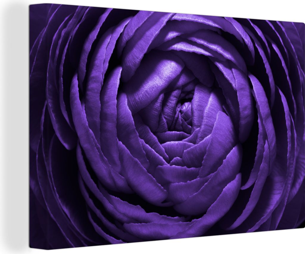 OneMillionCanvasses - Leinwandbilder - 140x90 cm, Nahaufnahme abstrakte lila Hahnenfuß, Wandbilder Kunstdruck Wanddekoration - Foto auf Leinwand...