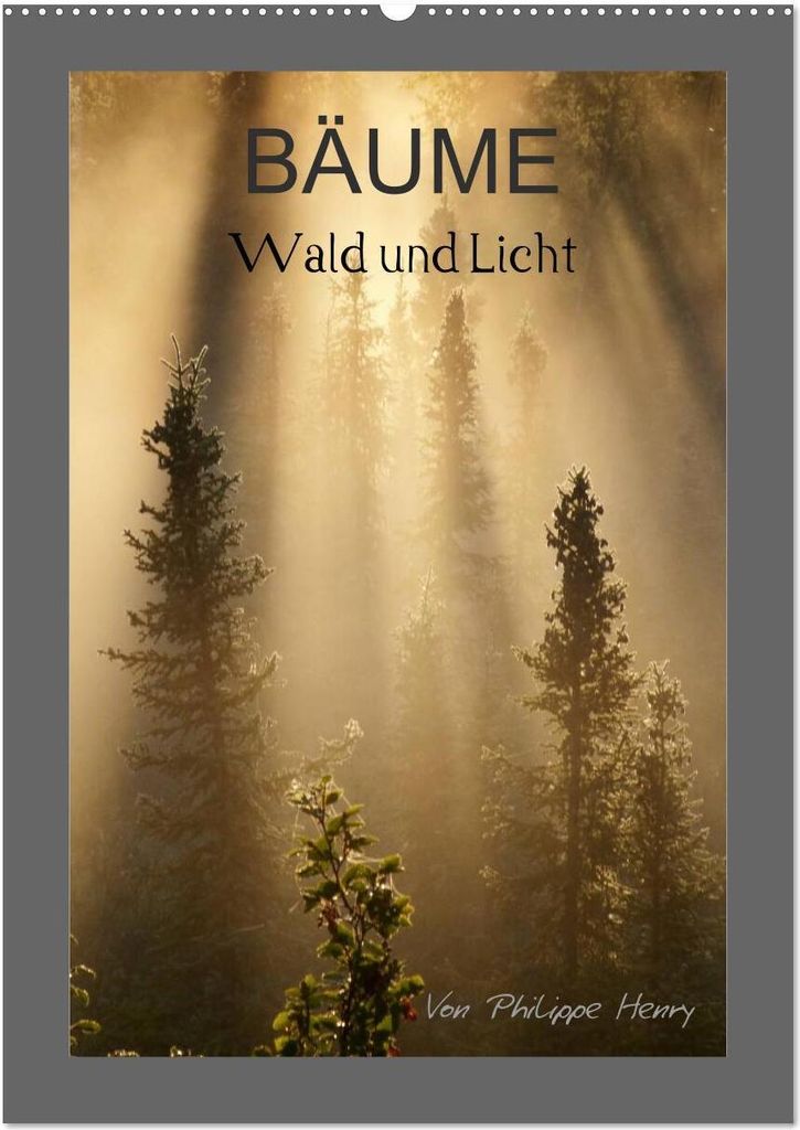 BÄUME (Wandkalender 2026 DIN A2 hoch), CALVENDO Monatskalender