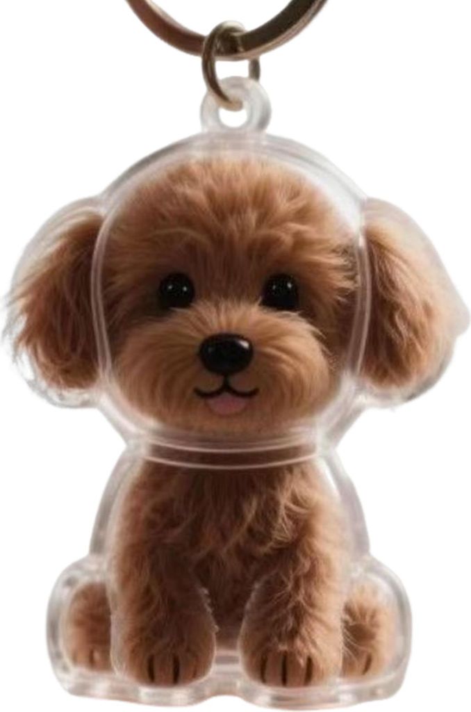 Schlüsselanhänger zum Sammeln von Hundehaaren, Schlüsselanhänger in Hundeform, Charm-Schlüsselanhänger, Gedenk-Aufbewahrungsbox, transparente...