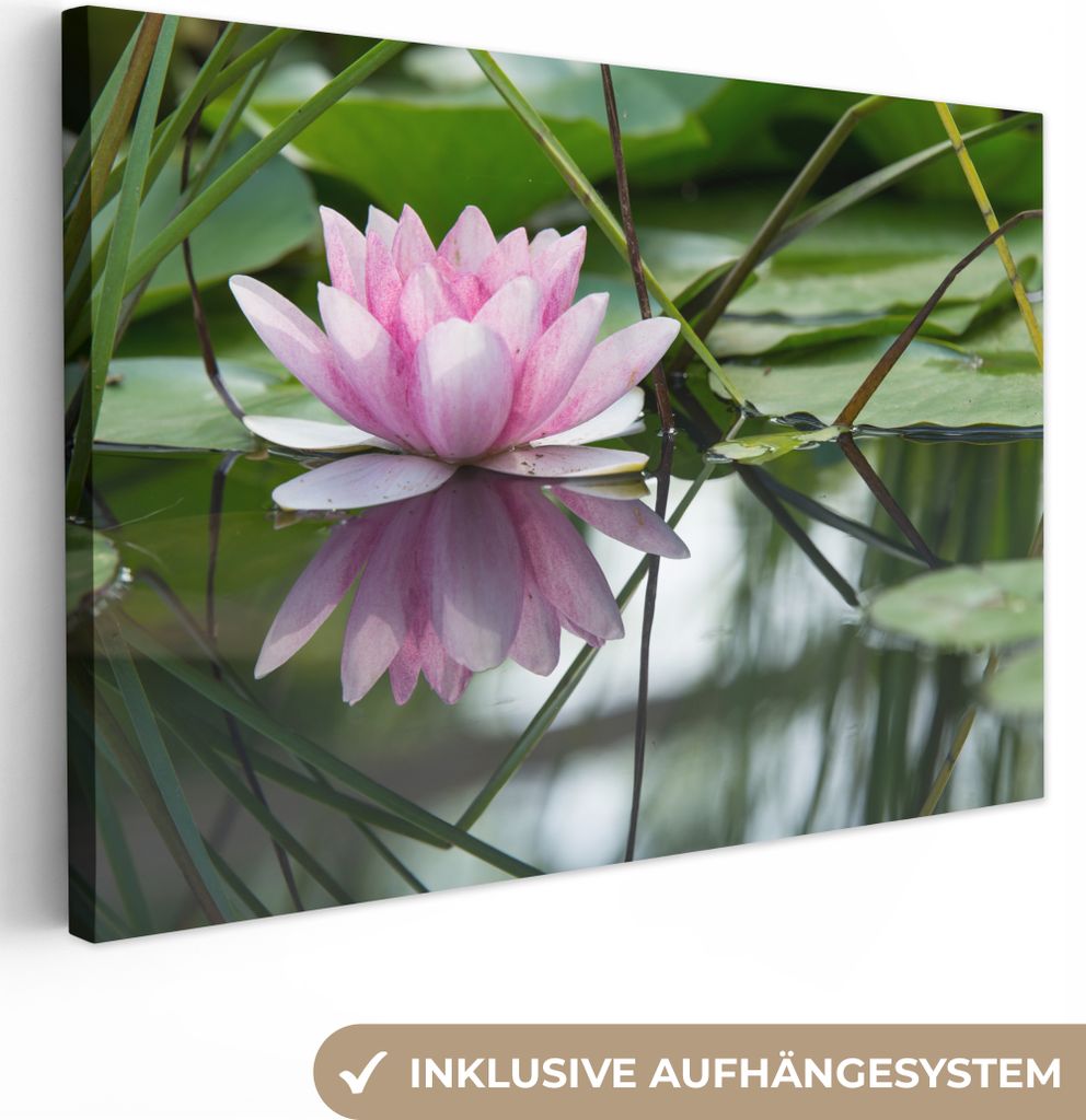 OneMillionCanvasses - Leinwandbilder - 150x100 cm, Blumen - Lotus - Wasser, Wandbilder Kunstdruck Wanddekoration