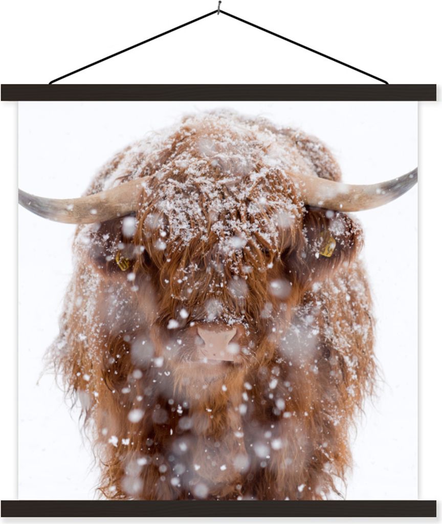 MuchoWow Textilposter Schottisches Hochlandrind - Schnee - Porträt 120x120 cm mit schwarzem Rahmen - Aufhängungsset