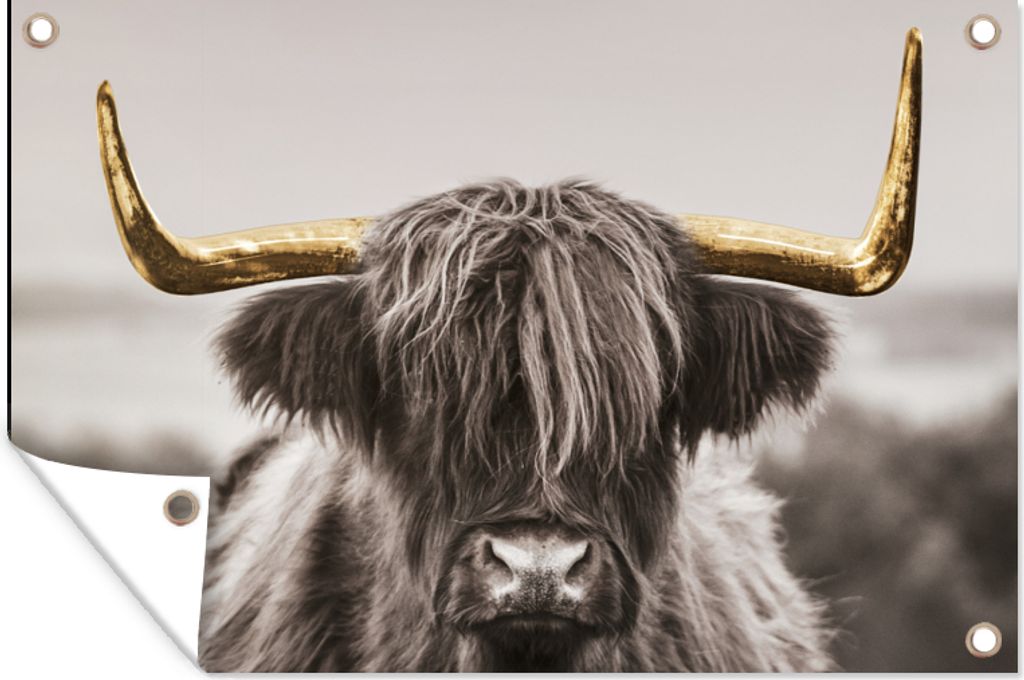 MuchoWow 60x40 cm Outdoor-Poster Gartendeko Sichtschutz Garten Poster für den Garten Schottischer Highlander - Gold - Schwarz - Weiß
