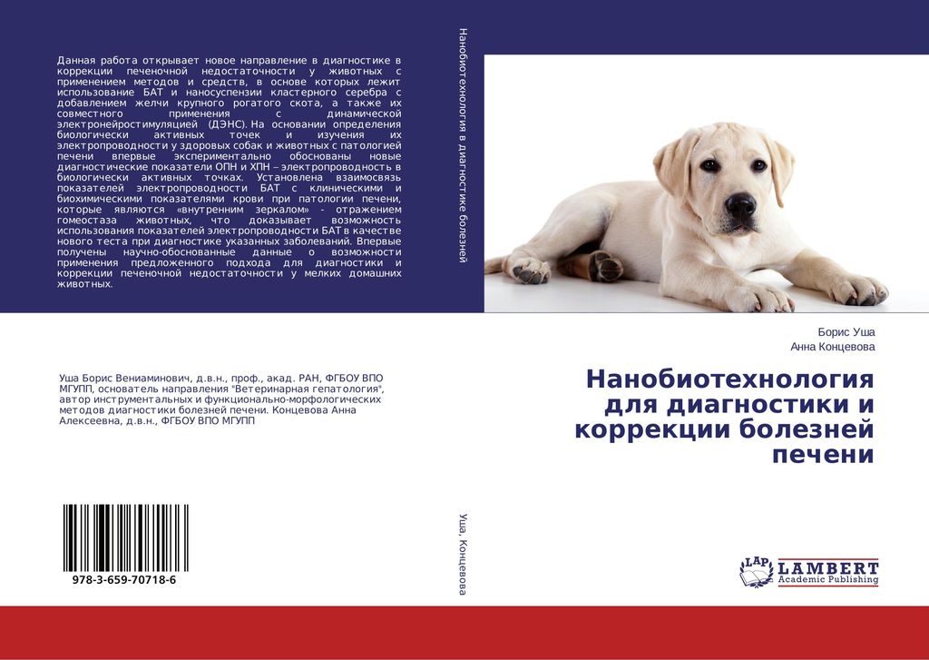 Nanobiotehnologiq dlq diagnostiki i korrekcii boleznej pecheni