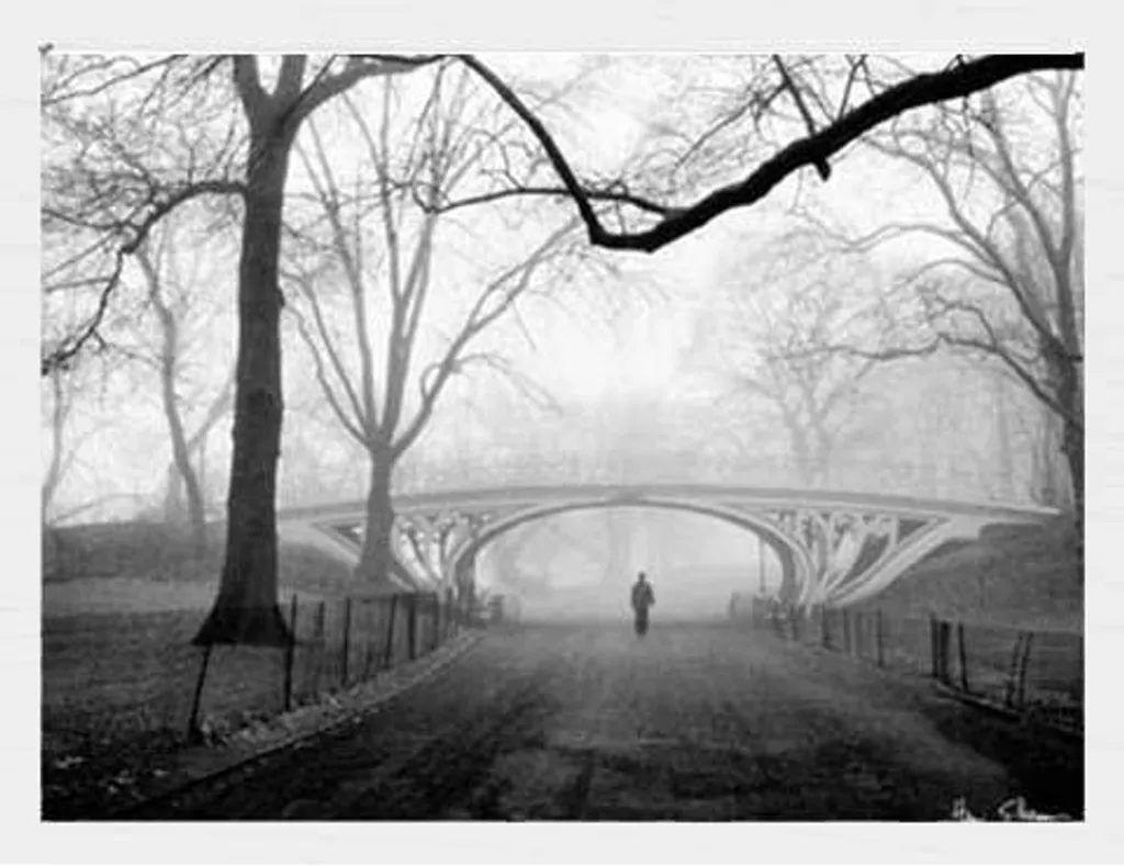 Décoration Murale New York Central Park Silberman Cadre Blanc Shinsuke