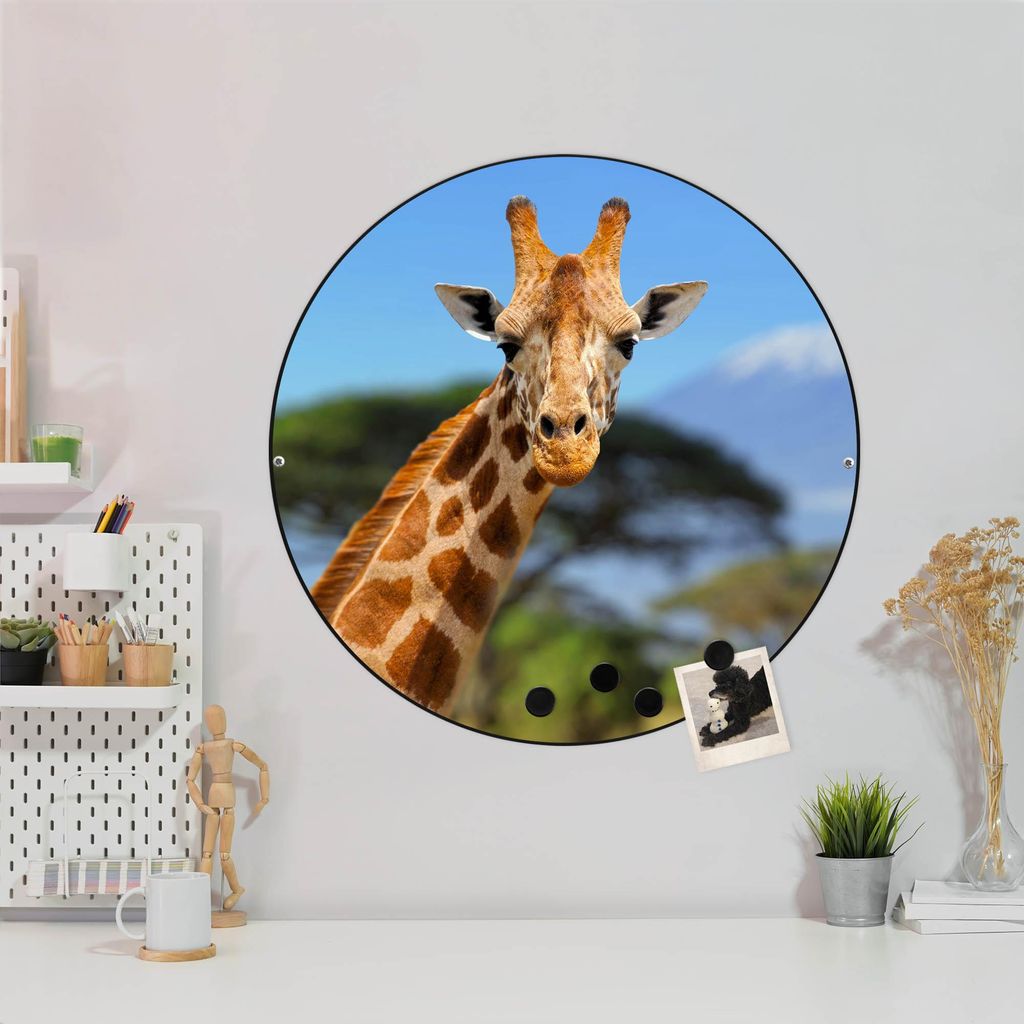 Design Stahlmagnettafel Schwarz Rund 47cm Miss Kilimandscharo