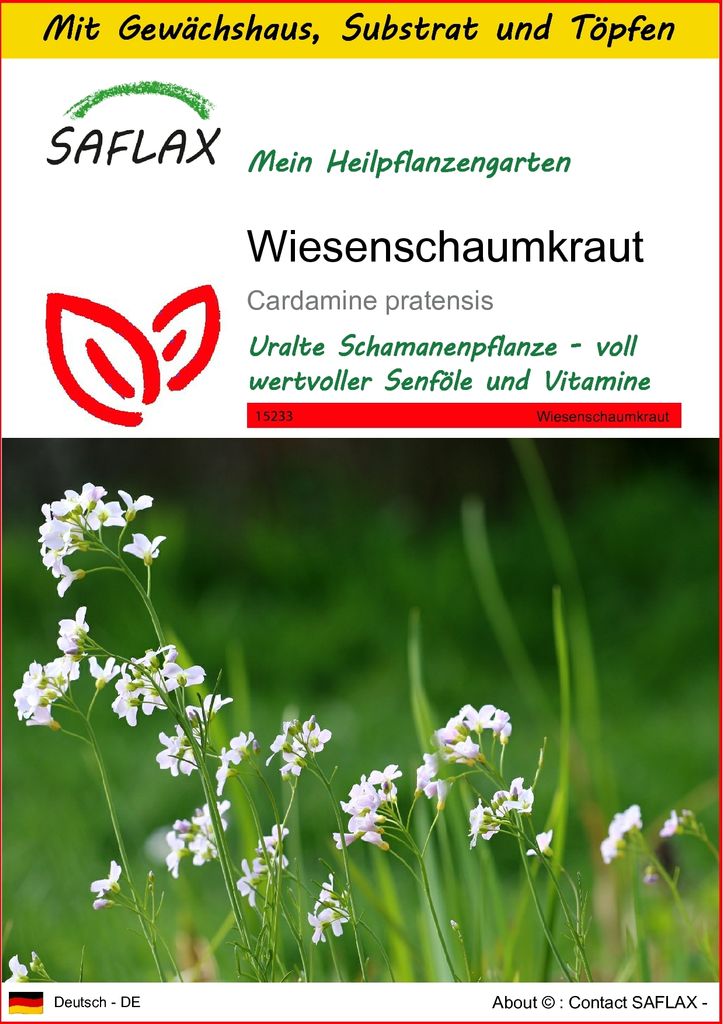 SAFLAX Anzucht Set - Wiesenschaumkraut - Cardamine pratensis - 100 Samen - Mit Mini-Gewächshaus, Anzuchtsubstrat und 2 Töpfen