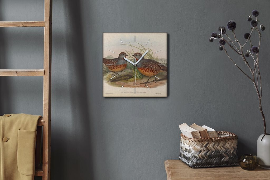 Coloray Hodiny Unikátní 30x30 cm Tiché hodiny Pro obývací pokoj a kuchyň Nástěnné hodiny Plátno Bílé ručičky hodin - Ptáci zvířata...