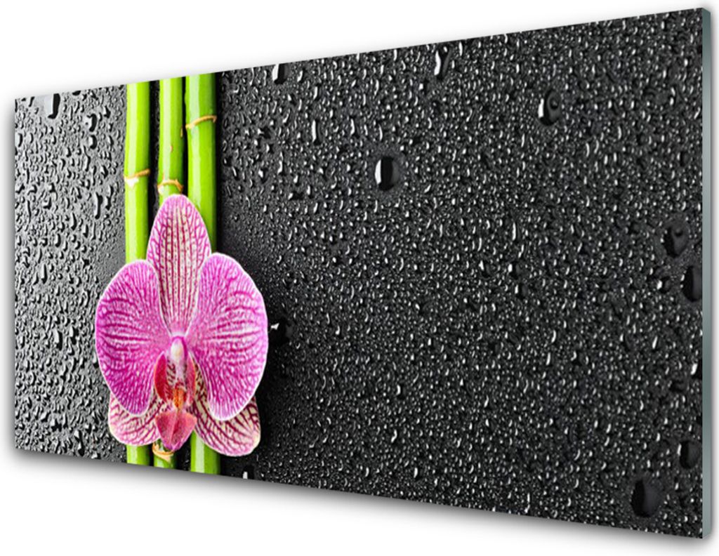 Küchenrückwand aus Glas 100x50cm Spritzschutz Bambusrohre Blume Pflanzen
