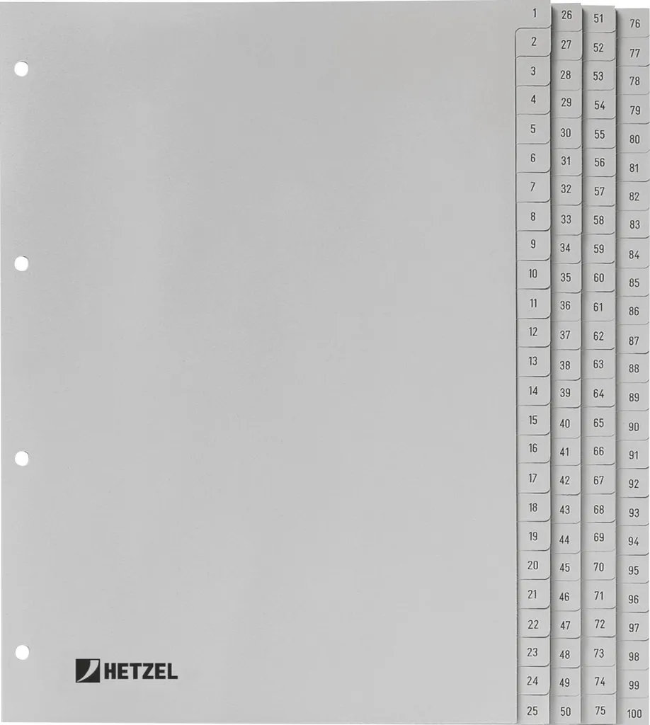 Organiseur de Classeur A4 Gris 1-100 en Plastique pour Gros Dossiers