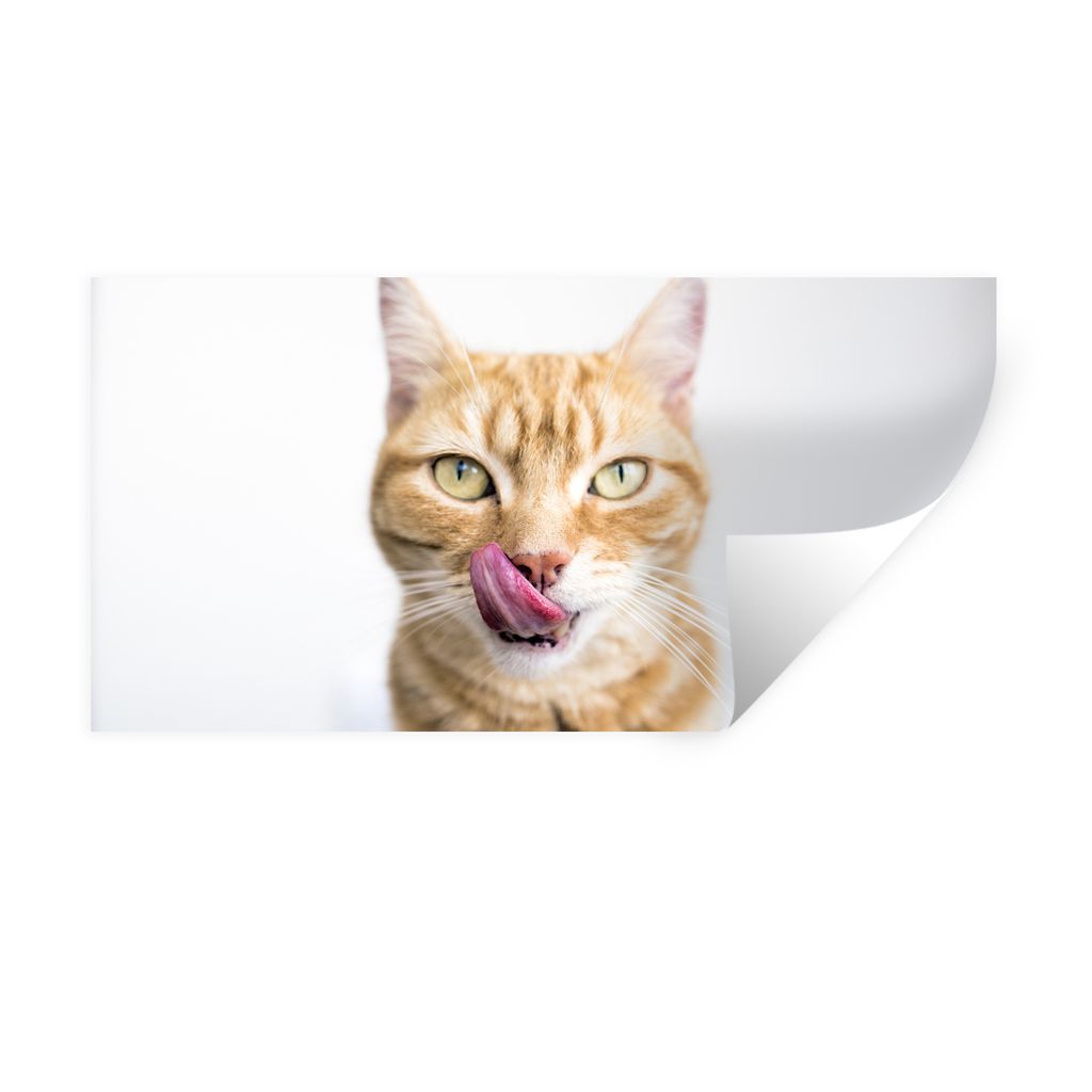 MuchoWow Wandtattoo Wandsticker Wandaufkleber Katze - Zunge - Weiß 160x80 cm Selbstklebend und Repositionierbar - Sticker - Dekorfolie