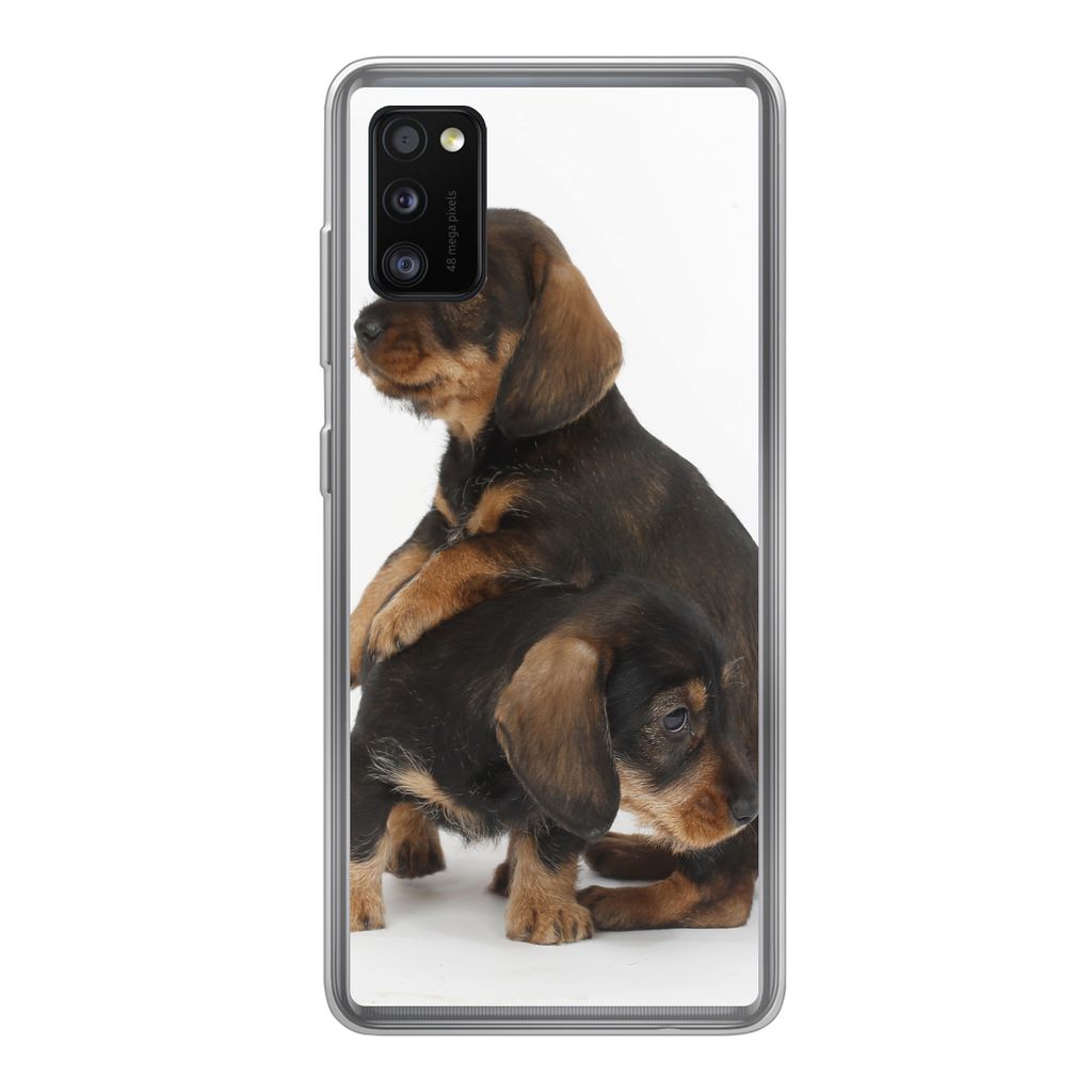 MuchoWow Handyhülle Schutzhülle Hülle für Samsung Galaxy A41 Studiofoto von zwei süßen Dackeln Silikon Softcase Handy Hülle - Mobiltelefon