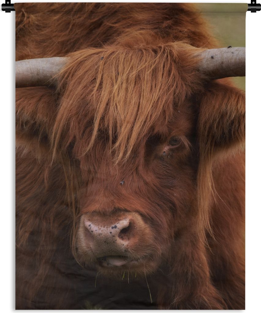 MuchoWow Wandteppich Wandbehang Schottischer Highlander - Orange - Tiere 120x160 cm Tapisserie Dekoration Wandtuch - Wohnzimmer - Moderne