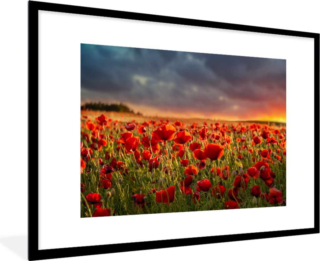 MuchoWow Gerahmtes Poster Sonnenuntergang - Mohnblumen - Rot - Blumen - Feld - Natur 90x60 cm - Poster mit Schwarzem Bilderrahmen Wandposter Rahm...