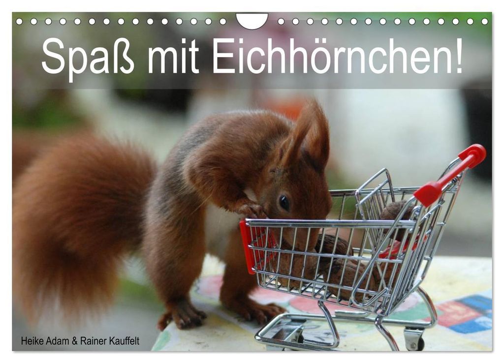 Spaß mit Eichhörnchen! (Wandkalender 2027 DIN A4 quer), CALVENDO Monatskalender