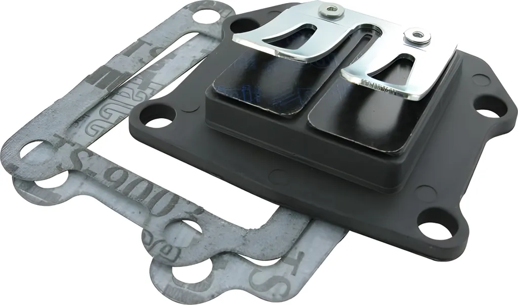 Bloc de membrane Polini avec lamelles carbone pour Aprilia et Yamaha BW's