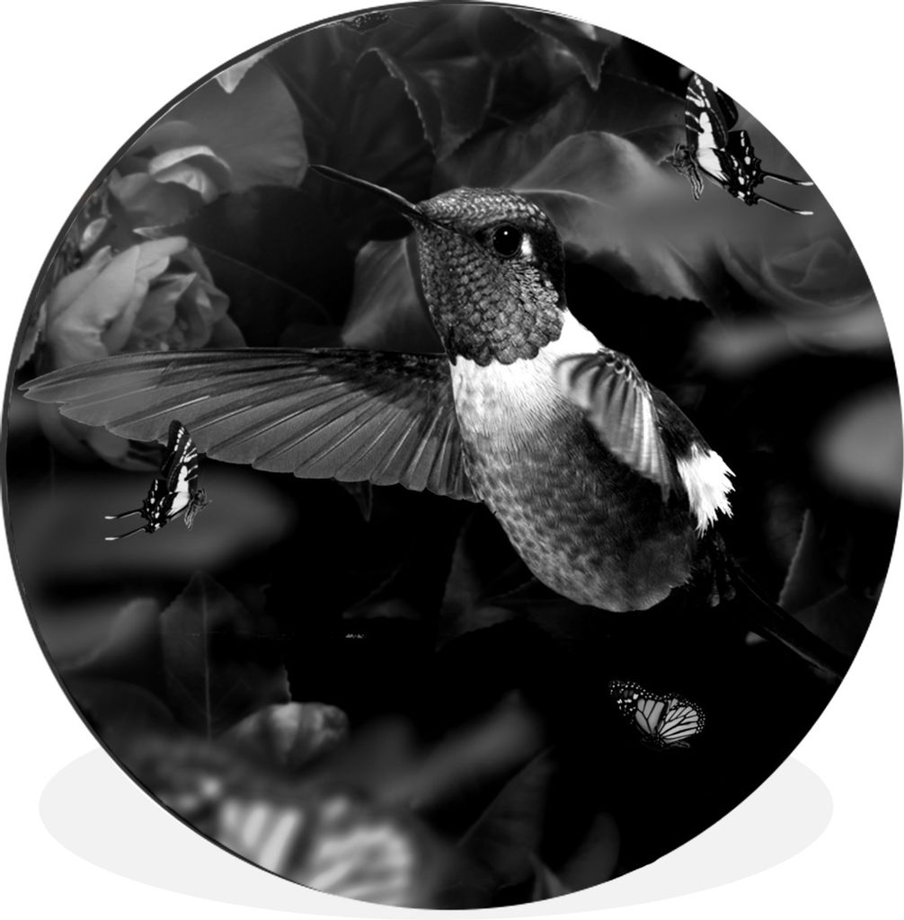 MuchoWow Aluminium Wandkreis Kolibri zwischen alten rosa Blumen und Schmetterlingen - schwarz und weiß Ø 60 cm Wanddeko Modern Wohnzimmer - Wan...