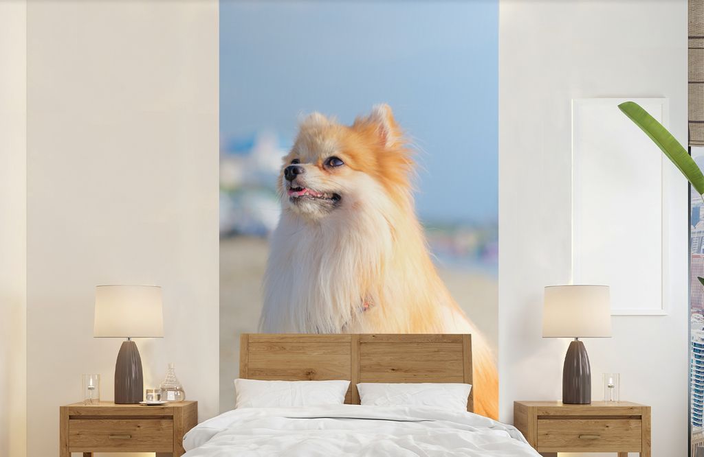 MuchoWow® Fototapete für Wohnzimmer oder Schlafzimmer Produktbild 