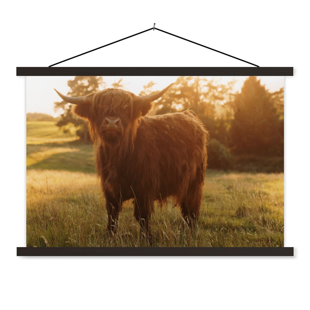 MuchoWow Textilposter Schottischer Hochländer - Gras - Sonne 90x60 cm mit schwarzem Rahmen - Aufhängungssatz