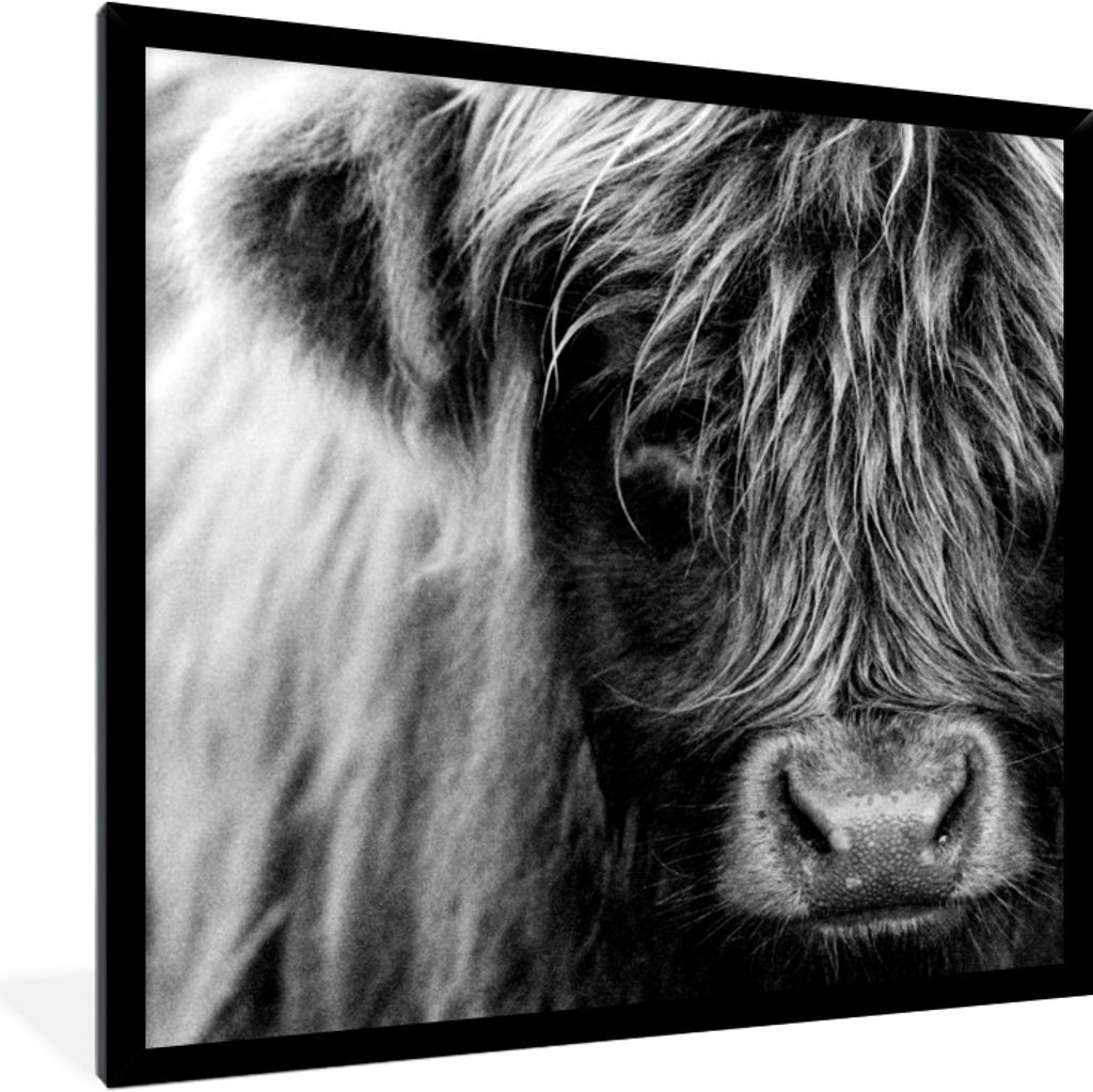 MuchoWow Gerahmtes Poster Schottischer Highlander - Porträt - Schwarz - Weiß 40x40 cm - Poster mit Schwarzem Bilderrahmen Wandposter Rahmen Fot...