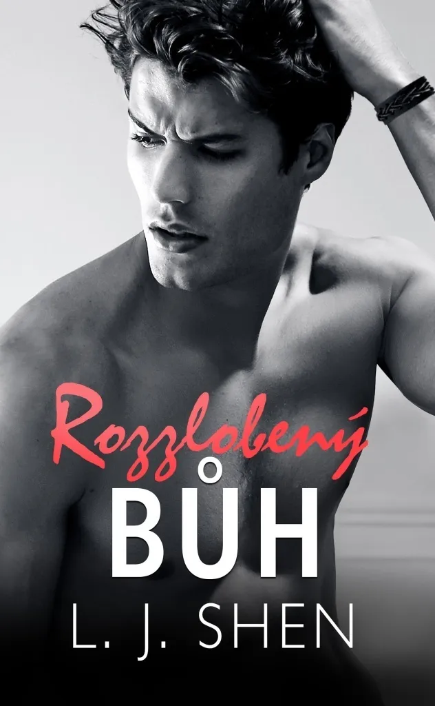 Lecture Rozzlobený bůh de L.J. Shen : Évasion dans une Romance Poignante
