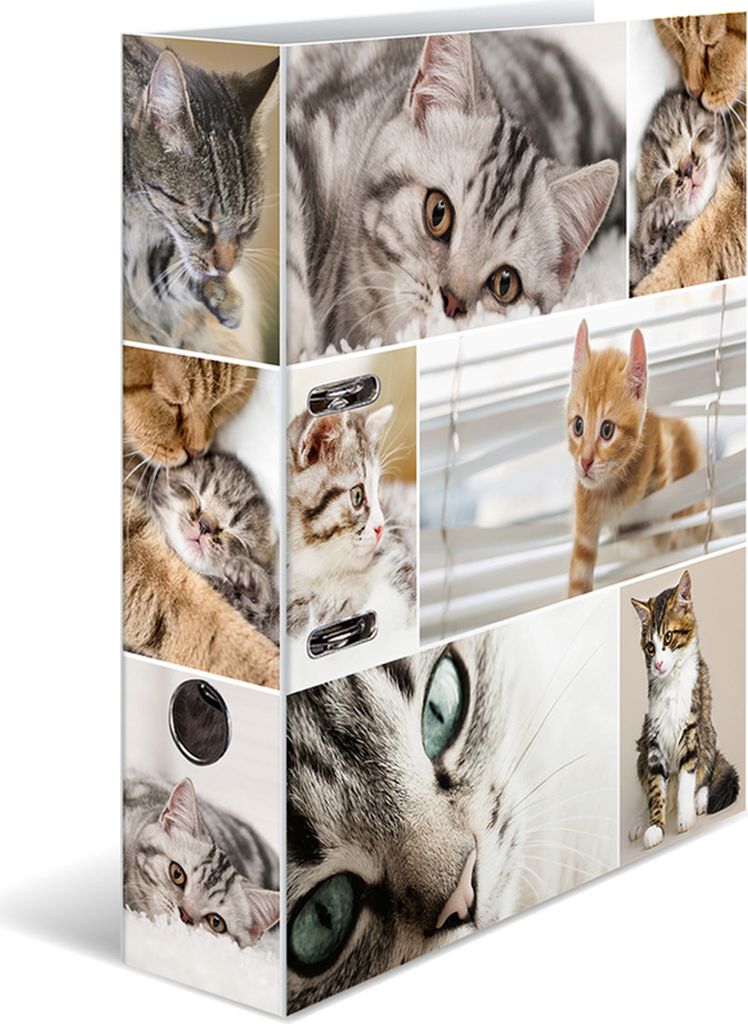 Herma 7166 Teczka Motif cats A4 70 mm(S) Zdjęcie produktu