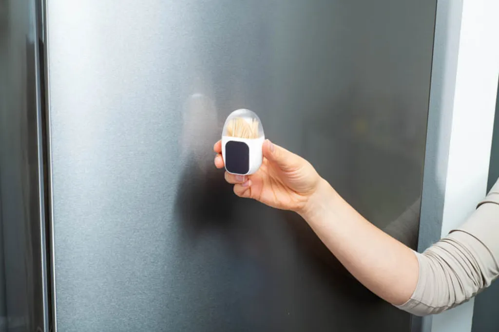 ALINCO Porta Stuzzicadenti Magnetico Professionale - Trasparente Premium - 5