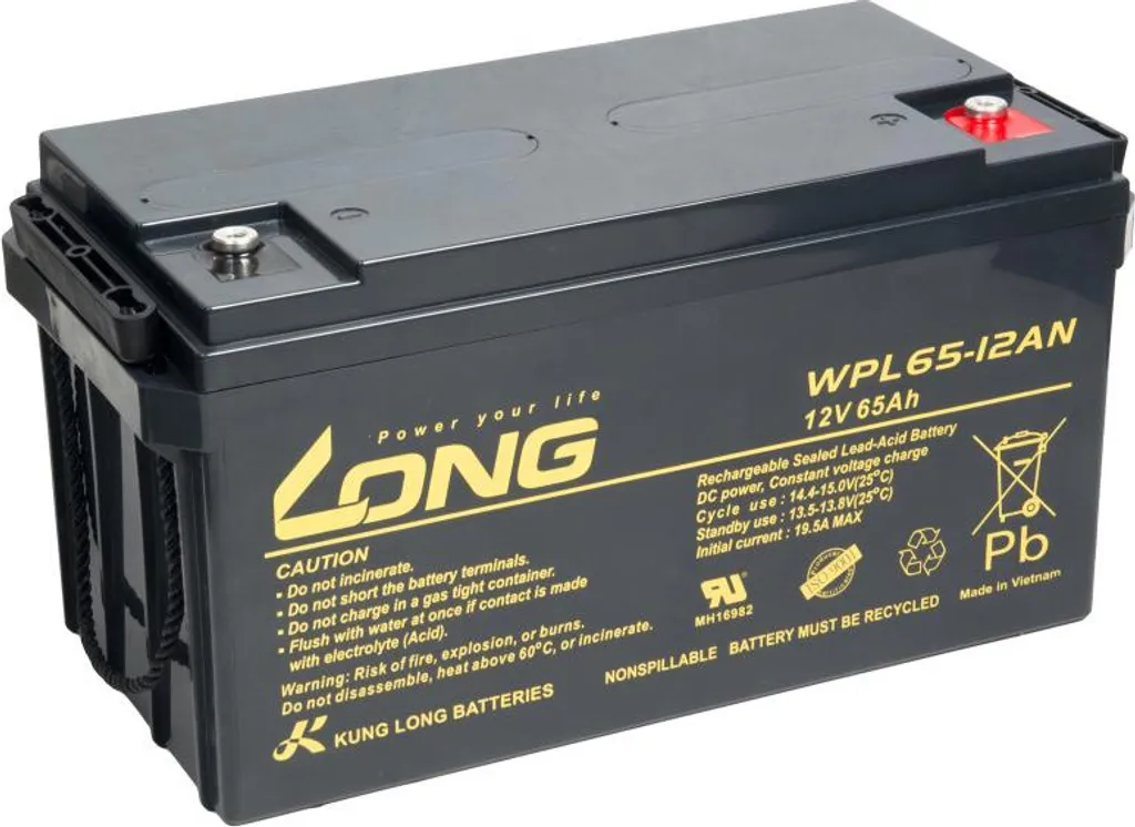 Batterie LONG 12V 65Ah WPL65-12AN : Solution Durable contre les Pannes
