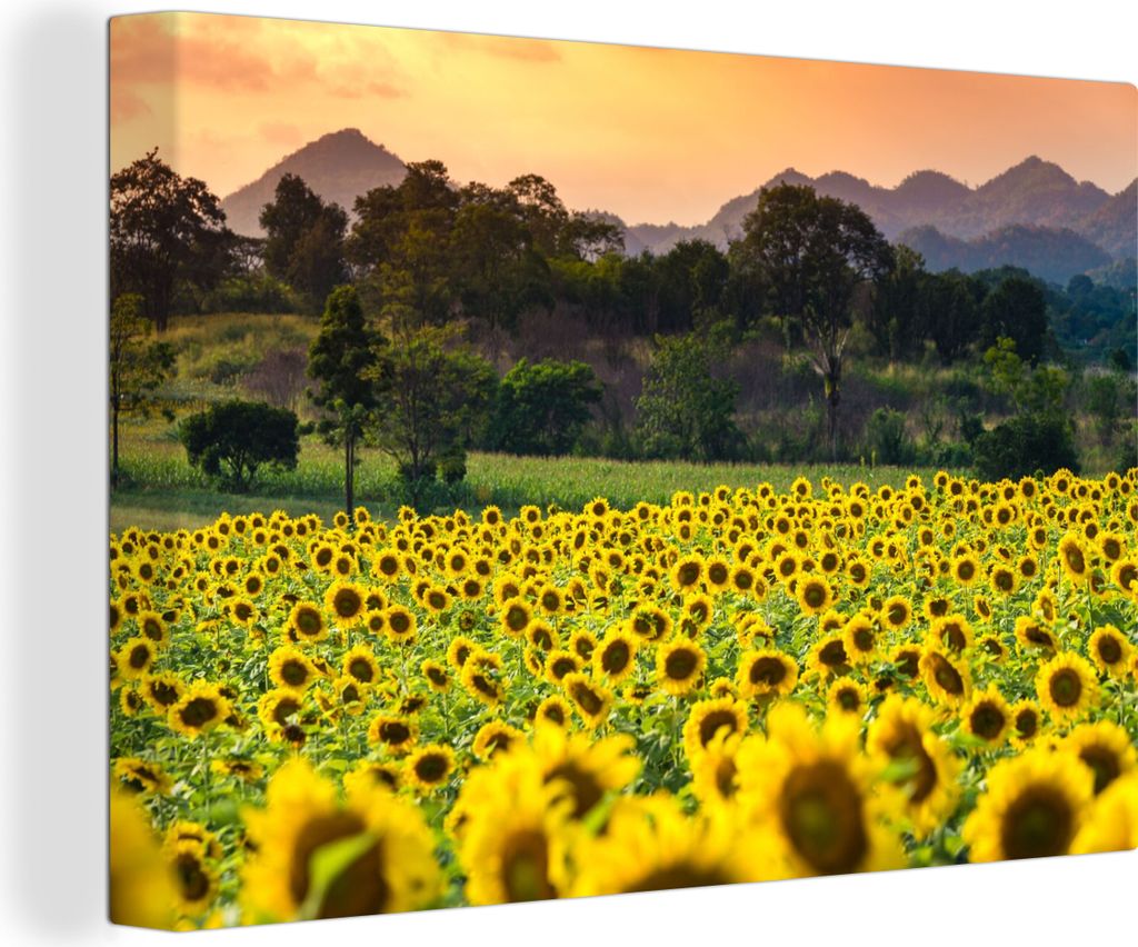 OneMillionCanvasses - Leinwandbilder - 150x100 cm, Sonnenblume - Natur - Berg, Wandbilder Kunstdruck Wanddekoration - Foto auf Leinwand - Gemäld...