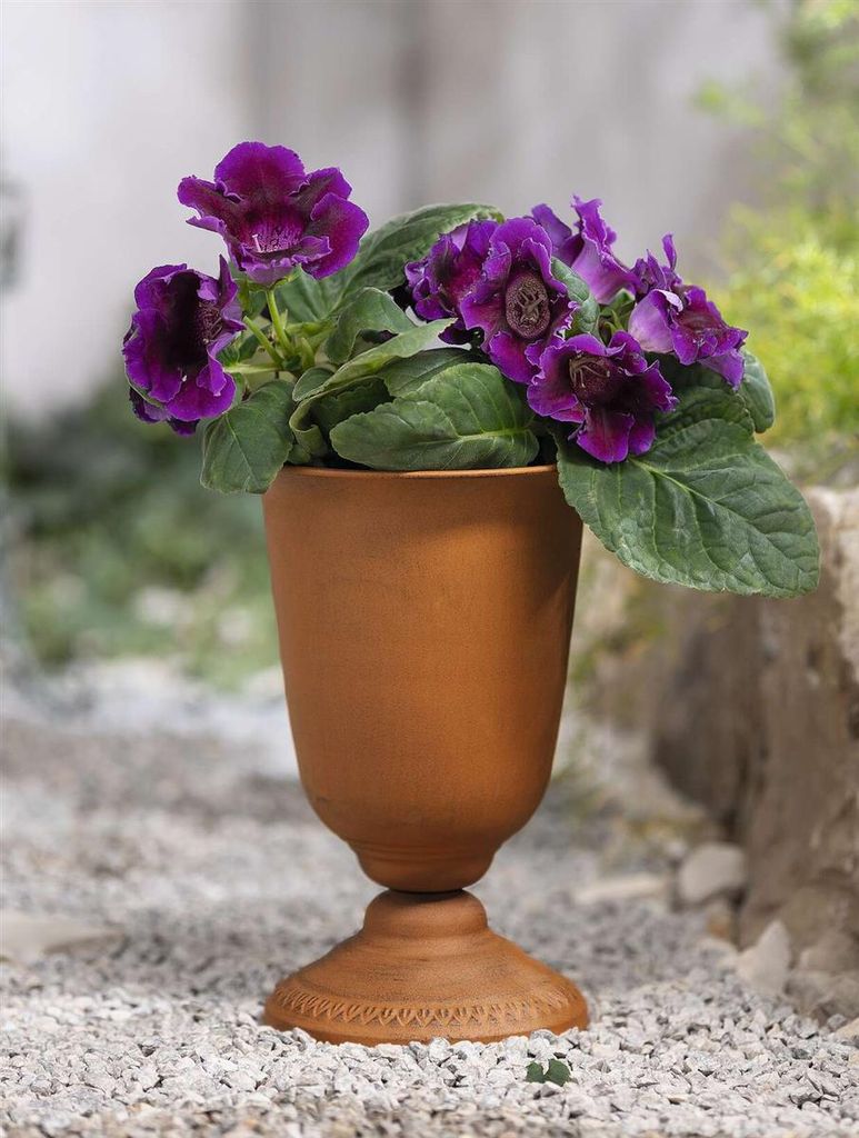 Pflanzer "Pokal" aus Metall in Rost Optik, 33 cm hoch, Outdoor Blumentopf, Pflanztopf für Draußen, Garten Amphore winterfest