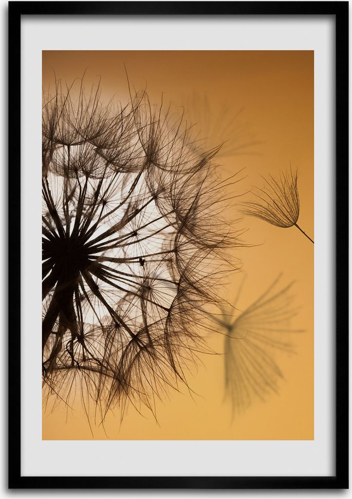Bild - Bilderrahmen - Foto - 70 cm x 100 cm - MDF - Rahmen - Wandkunst - Löwenzahn