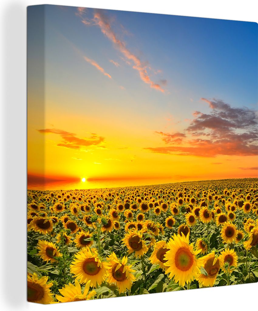 OneMillionCanvasses - Leinwandbilder - Bild auf Leinwand Wandbild Leinwandbild Blumen - Sonnenblume - Sonnenuntergang - Nacht - Orange, 90x90 cm,...