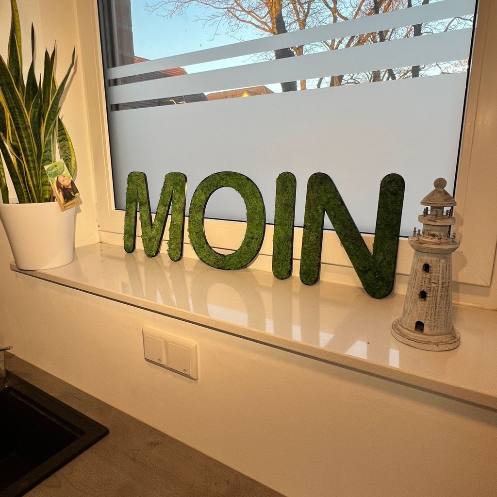 Islandmoos – Set MOIN Grasgrün Produktbild 4