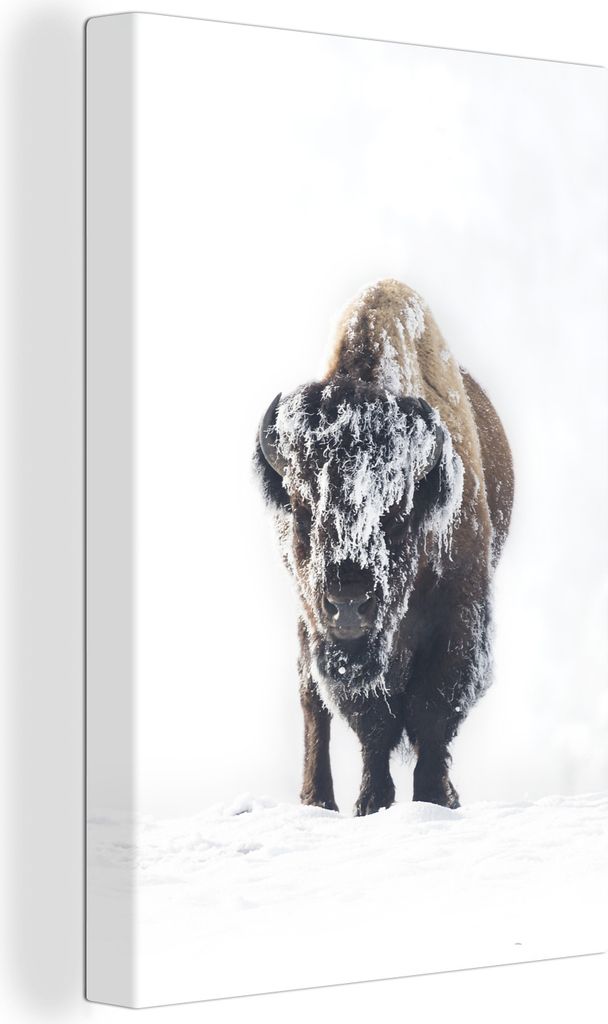 OneMillionCanvasses - Leinwandbilder - 90x140 cm, Wisent - Schnee - Yellowstone, Wandbilder Kunstdruck Wanddekoration - Foto auf Leinwand - Gemä...