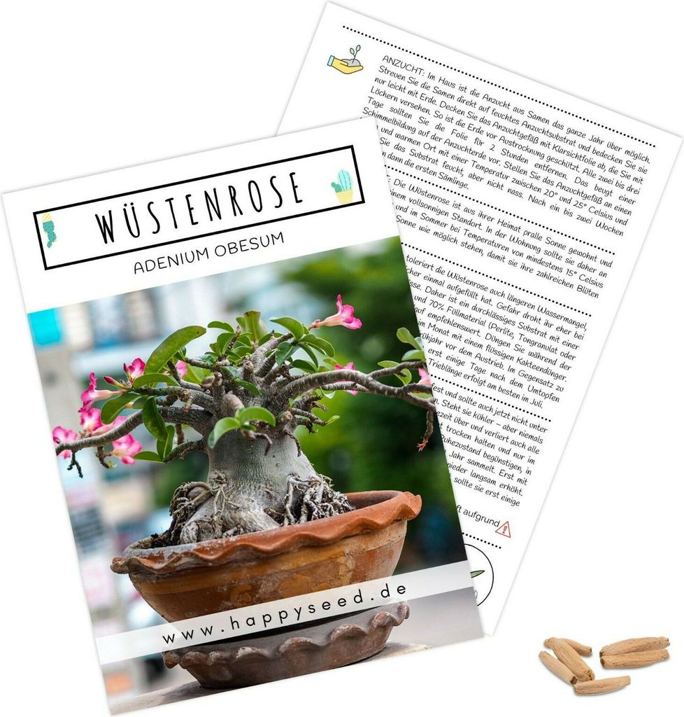 Exotische Kakteen Samen mit hoher Keimrate - Sukkulenten Samen Set für deinen eigenen wunderschön blühenden Kaktus (1x Wüstenrose)