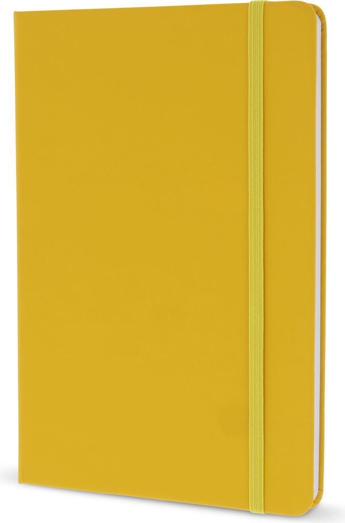 Notizbuch / DIN A5 / 192 S. / liniert / Produktbild 
