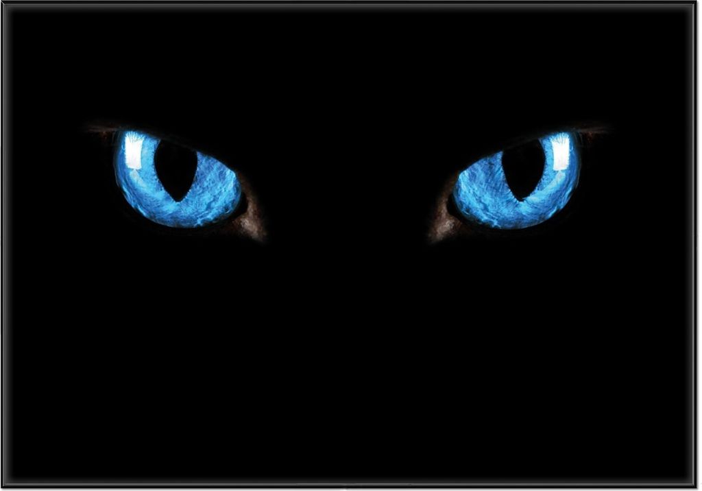 Wallario Wandbild Blaue Katzenaugen bei Nacht, Größe: 70,30 x 100,30 cm, Poster mit schwarzem Aluminiumrahmen