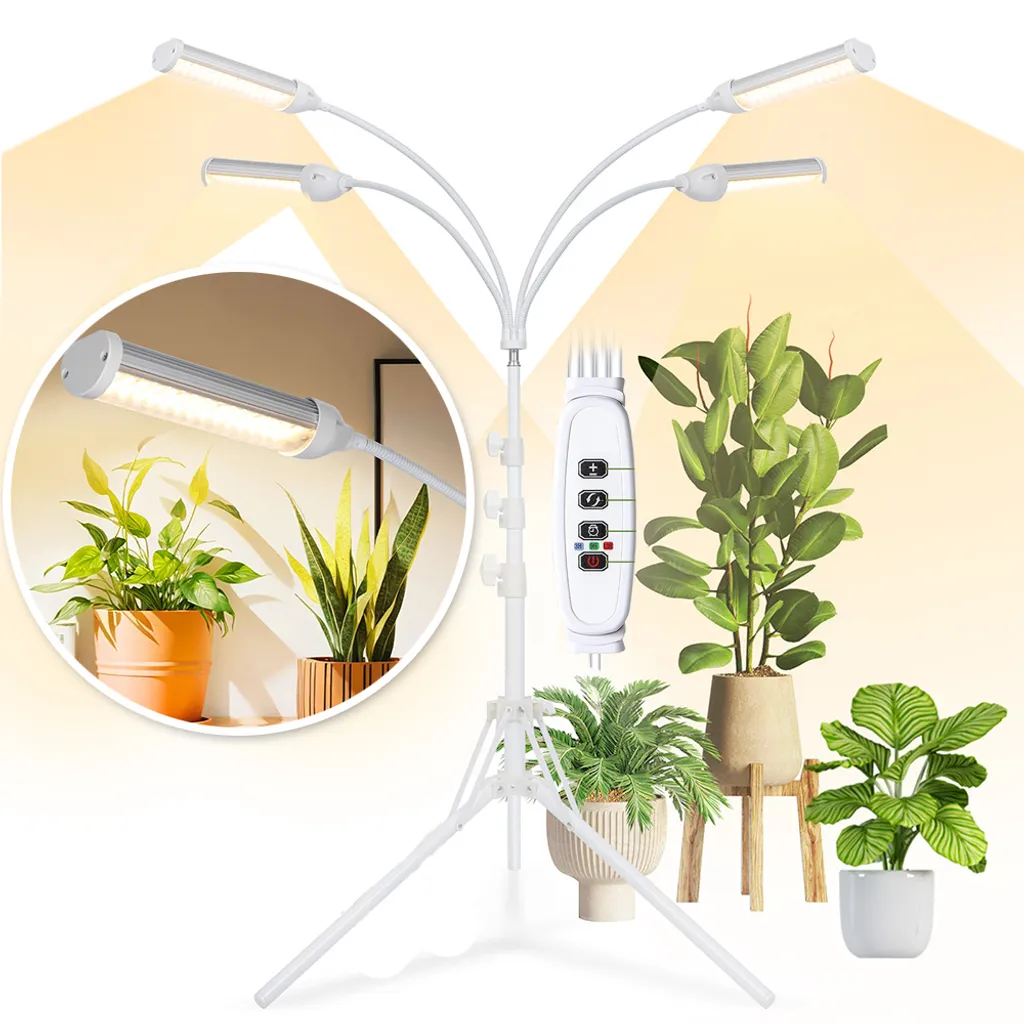 Lumière pour plantes d'intérieur au sol idéale pour semis et fleurs