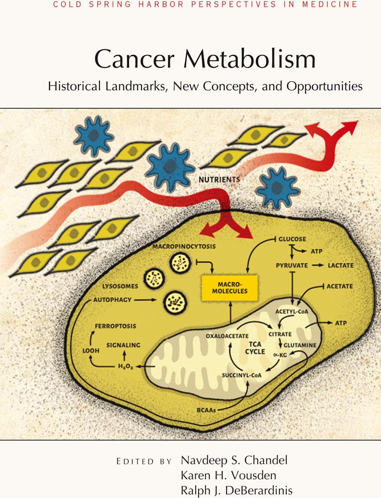 Cancer Metabolism