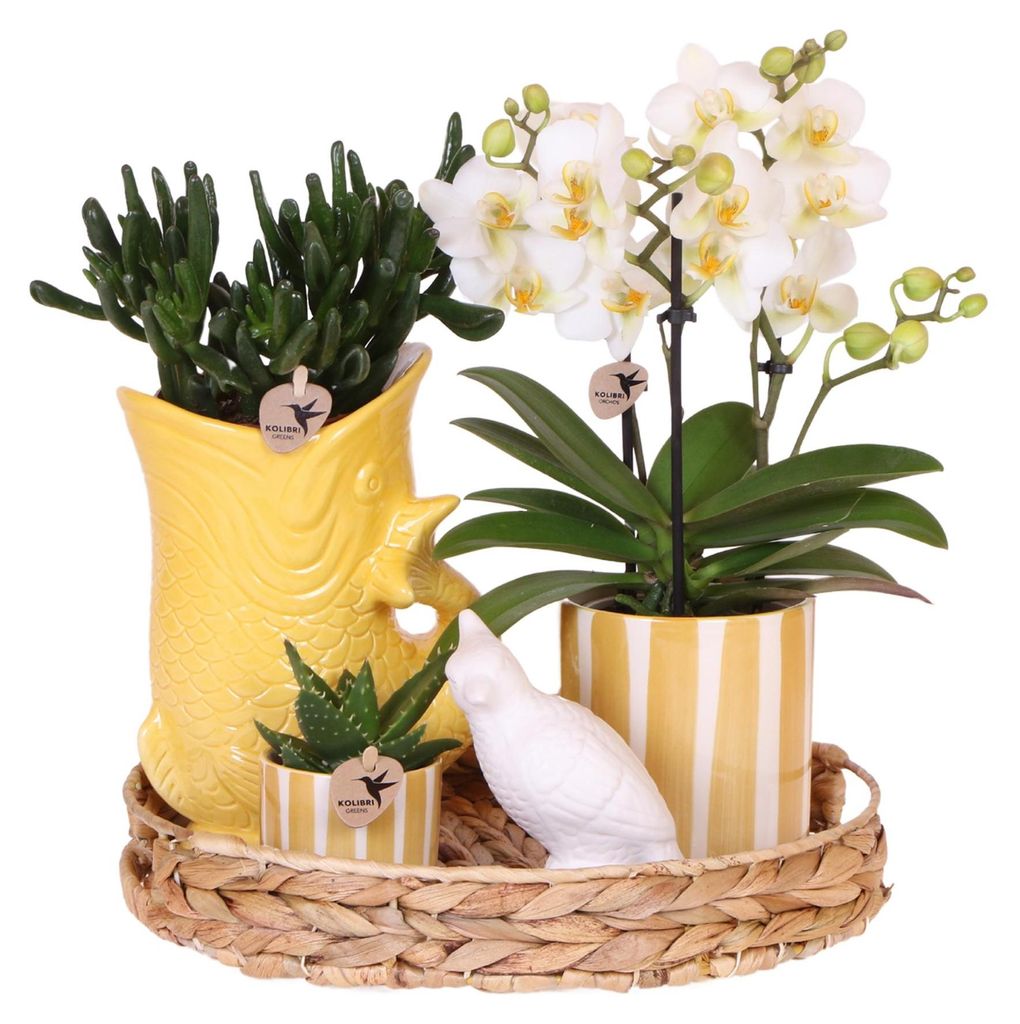 Kolibri Company | Geschenkset Mediterranean Sunset | Produktbild 
