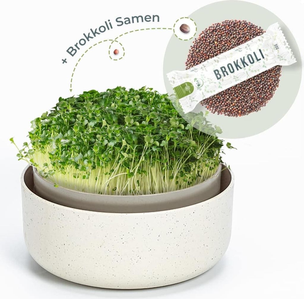 OraGarden Keimsprosskit mit Brokkoli Samen Produktbild 